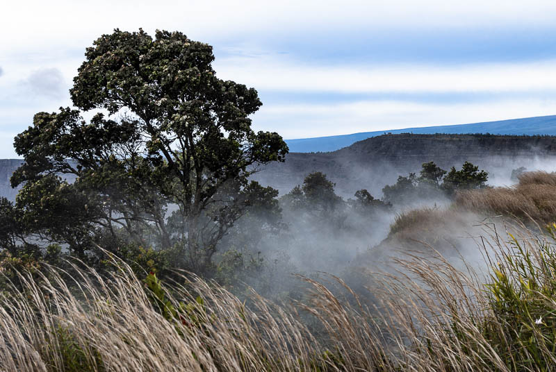 Fotografie by Sarah Kienapfel